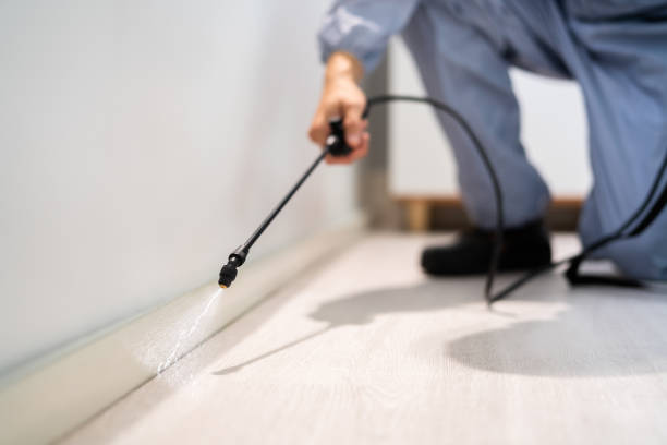 Professional exterminator conducting IPM assessment in Ecorse