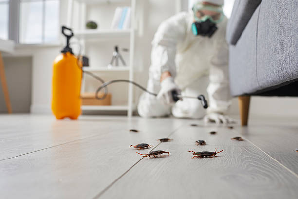 Commercial Kitchen Cockroach Control in Ecorse